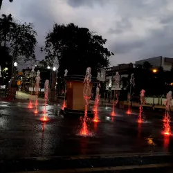 Finca Arrocera (Rice Farm) Tours - Daule