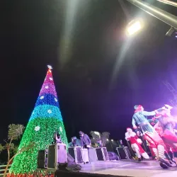 Finca Arrocera (Rice Farm) Tours - Daule