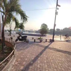 Finca Arrocera (Rice Farm) Tours - Daule