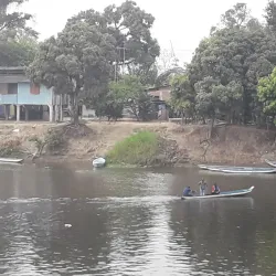 Finca Arrocera (Rice Farm) Tours - Daule