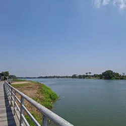 Finca Arrocera (Rice Farm) Tours - Daule