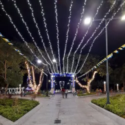 Finca Arrocera (Rice Farm) Tours - Daule