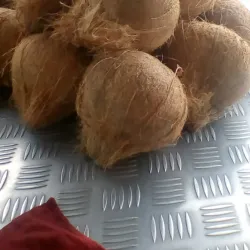 Mercado Municipal de Daule - Daule