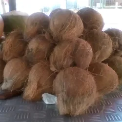 Mercado Municipal de Daule - Daule