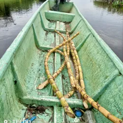 El Charco Mangrove Reserve - Esmeraldas