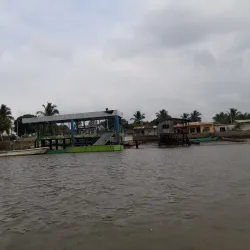 El Charco Mangrove Reserve - Esmeraldas