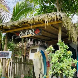 Surfing Schools and Rentals - La Libertad