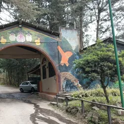 Parque Nacional Podocarpus - Loja