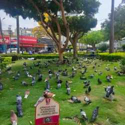 Parque Central de Machala - Machala