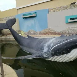 Parque Infantil de Machala - Machala