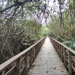 Reserva Ecológica Manglares Churute - Machala