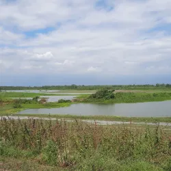 Reserva Ecológica Manglares Churute - Machala