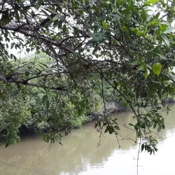 Reserva Ecológica Manglares Churute - Machala