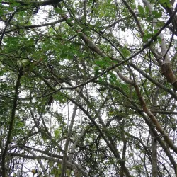Cerro de Montecristi - Manta