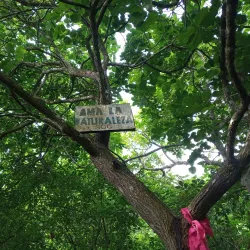 Cerro de Montecristi - Manta