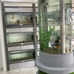 Manta Aquarium - Manta