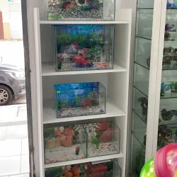 Manta Aquarium - Manta