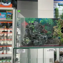 Manta Aquarium - Manta