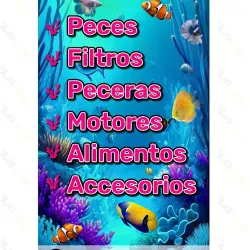 Manta Aquarium - Manta