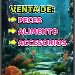 Manta Aquarium - Manta