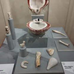 Museo del Banco Central - Manta