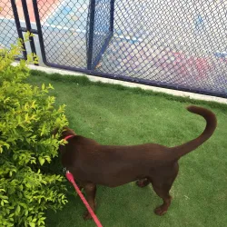 Parque Central de Manta - Manta