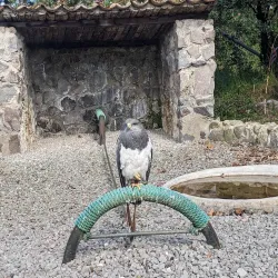 Parque Condor - Otavalo