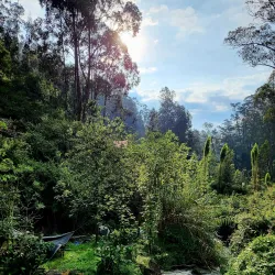 Peguche Waterfall - Otavalo
