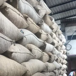 Cacao Plantations - Pasaje