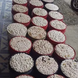 Cacao Plantations - Pasaje