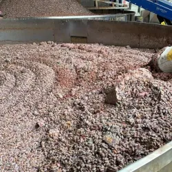 Cacao Plantations - Pasaje