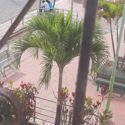 La Tola Beach - Pasaje