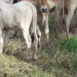 La Tola Beach - Pasaje