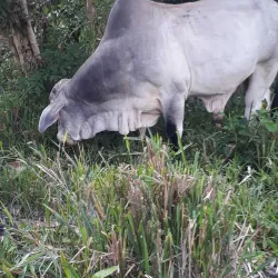 La Tola Beach - Pasaje