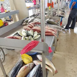 Mercado Central de Portoviejo - Portoviejo