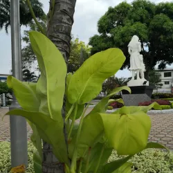 Parque La Madre - Portoviejo