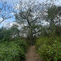 Reserva Ecológica Arenillas - Portoviejo