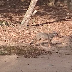 Reserva Ecológica Arenillas - Portoviejo