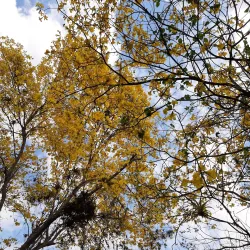 Reserva Ecológica Arenillas - Portoviejo