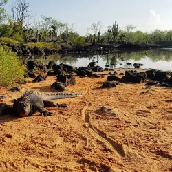 Cerro Dragón (Dragon Hill) - Puerto Ayora