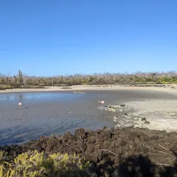Cerro Dragón (Dragon Hill) - Puerto Ayora