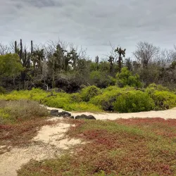 Cerro Dragón (Dragon Hill) - Puerto Ayora