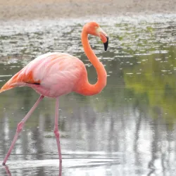 Cerro Dragón (Dragon Hill) - Puerto Ayora