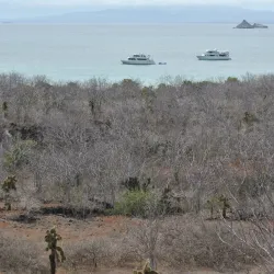 Cerro Dragón (Dragon Hill) - Puerto Ayora