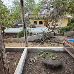 Charles Darwin Research Station - Puerto Ayora