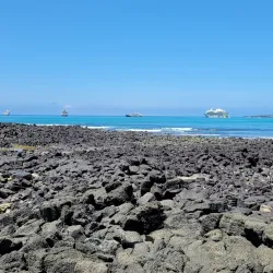 Charles Darwin Research Station - Puerto Ayora