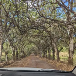 El Chato Tortoise Reserve - Puerto Ayora