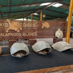 El Chato Tortoise Reserve - Puerto Ayora