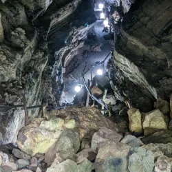 El Chato Tortoise Reserve - Puerto Ayora