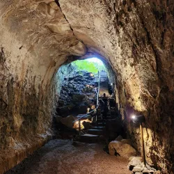 El Chato Tortoise Reserve - Puerto Ayora